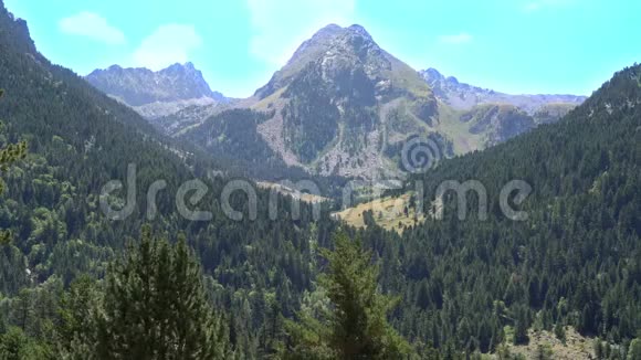 在阳光明媚的夏日高山覆盖着森林视频的预览图