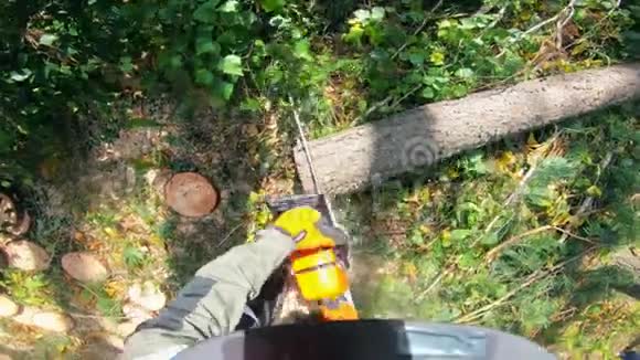 工人用电锯砍树视频的预览图
