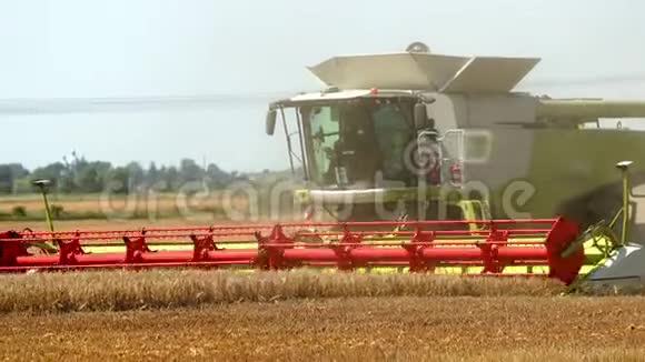 联合收割机收获金色的小麦农业Prores慢动作视频的预览图