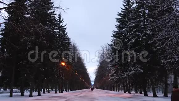 傍晚时分人们走在宽阔的城市小巷里松树被雪覆盖概念冬季视频的预览图