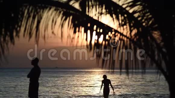日落时海背景上棕榈树的叶子视频的预览图
