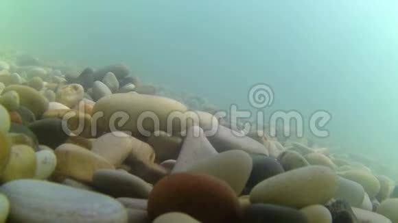 石头正落到海底视频的预览图