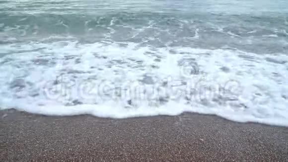 在沙滩上水中散步的女孩视频的预览图