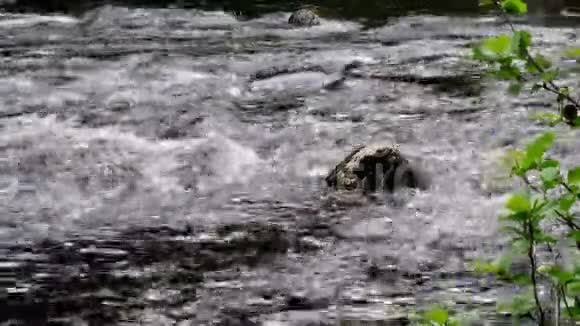 河水在岩石和巨石上蜿蜒流淌清澈见底在赫达尔附近的森林里视频的预览图