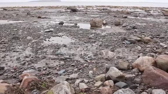低潮时白海海岸视频的预览图