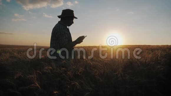 年轻英俊的农民在田间持有智能手机农民在农场使用智能手机管理视频的预览图