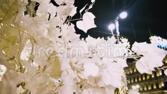 一个大城市的街道上有着美丽的白叶人造树的夜景概念白色特写视频的预览图