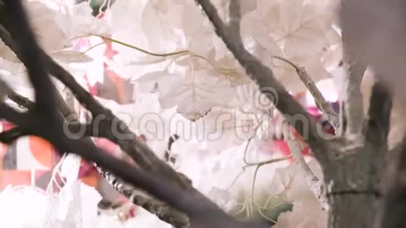 大城市街道上人造树美丽的白叶概念在白色嫩叶的映衬下视频的预览图