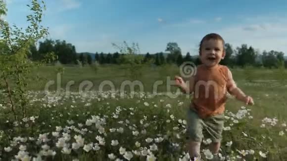 一个快乐的小男孩跑过一个花田时被一个stadicam拍到了孩子高兴地穿过空地慢慢视频的预览图