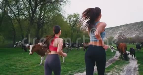 两位运动型的女士在草地上奔跑在令人惊叹的草地上为她们提供乡村锻炼视频的预览图