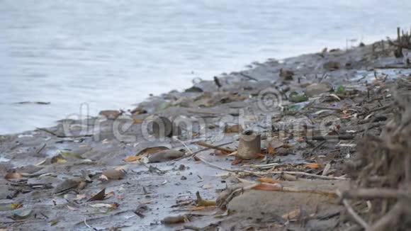 一个满是生锈的罐子和破瓶子的水库脏兮兮堵塞的岸边视频的预览图