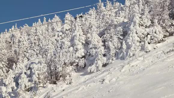 滑雪者在雪地树木覆盖的滑雪电梯上的视图高于滑雪斜坡的升降椅视频的预览图