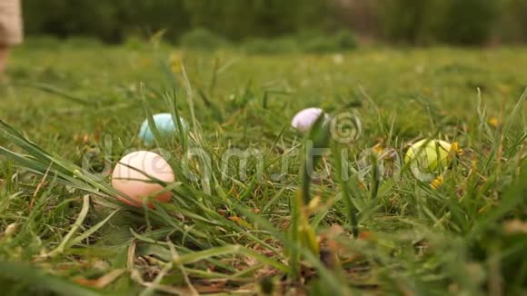 幼儿正在草地上寻找复活节彩蛋特写宝宝的第一步复活节的概念复活节彩蛋狩猎视频的预览图