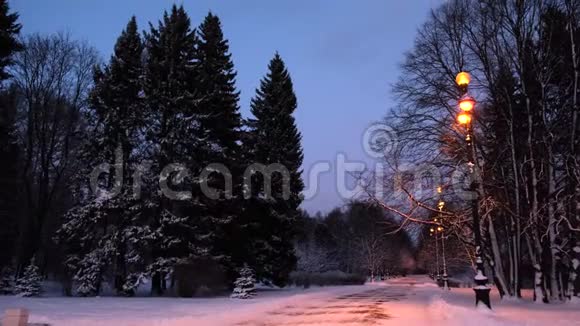 城市里空旷的公园景色优美夜晚树木被积雪和路灯覆盖概念冬天视频的预览图