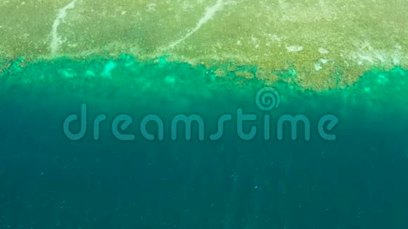 带绿松石水的珊瑚礁菲律宾Moalboal热带海洋细节日光中的蓝色水视频的预览图