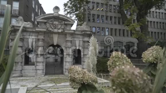 在英国伦敦灰色建筑附近的哥特式石门与铁拱行动美丽的老人视频的预览图