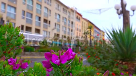 一个欧洲海滨小镇模糊的城市景观视频的预览图