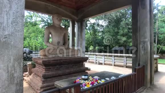 斯里兰卡阿努拉达普拉森林中的佛像纪念碑视频的预览图