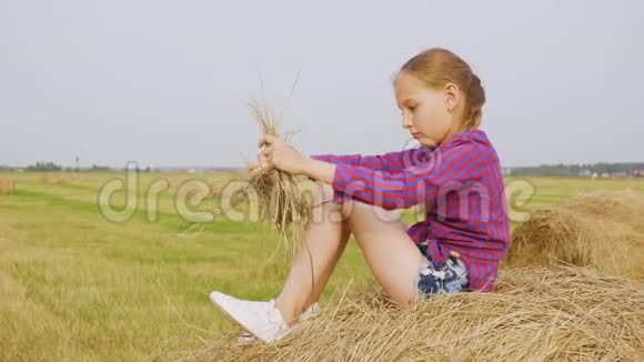 少女收获时间稻草干草堆夏田视频的预览图