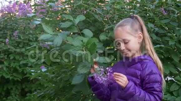 穿着紫色夹克的少女在春天的花园里嗅着丁香花特写写真美女少年视频的预览图
