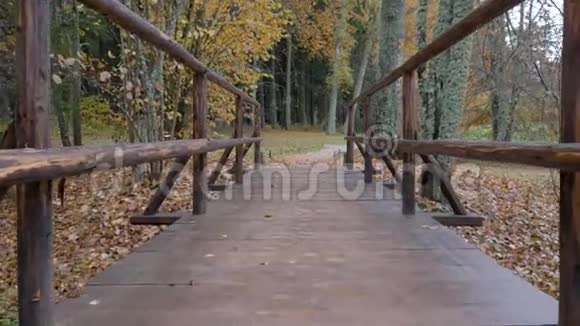 乌云密布的秋日森林摄像机沿着有栏杆的木桥向前移动视频的预览图