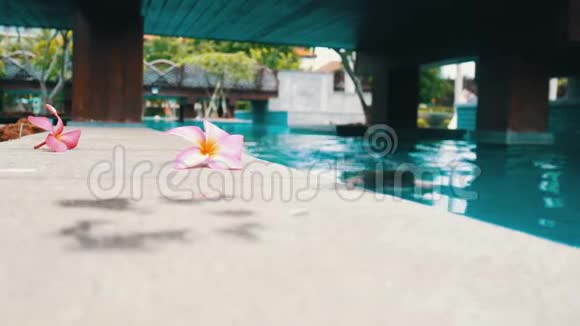 一个年轻的女人从池子里出来手里拿着一朵花视频的预览图
