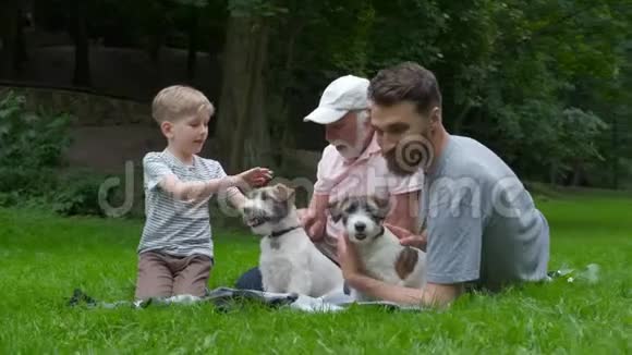 多代家庭遛狗爸爸爷爷和儿子和杰克鲁塞尔猎犬玩得开心笑吻视频的预览图