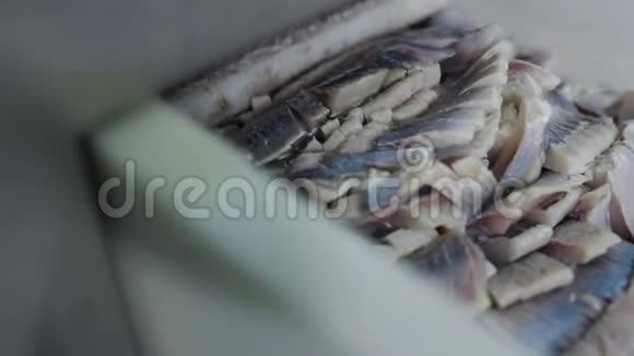 鱼在工厂切割机输送机上保存生产带罐头食品的传送带切鱼店切鱼视频的预览图