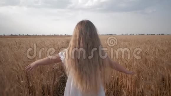 秋收麦穗金黄的成熟麦田上长着一头秀发的小女孩奔跑着视频的预览图