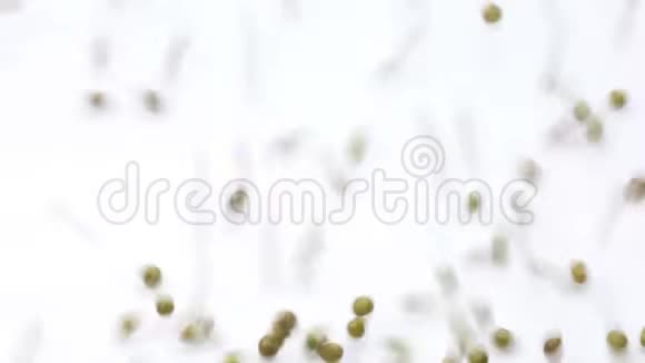 白色背景上的绿豆或芒豆从顶部落下填充框架视频的预览图