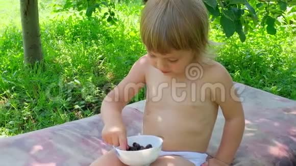 可爱的小女孩在露天吃新鲜的桑树视频的预览图