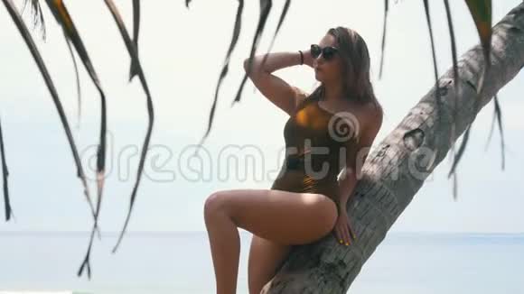 一位戴太阳镜的年轻女子斜靠在海滩上的热带树上视频的预览图