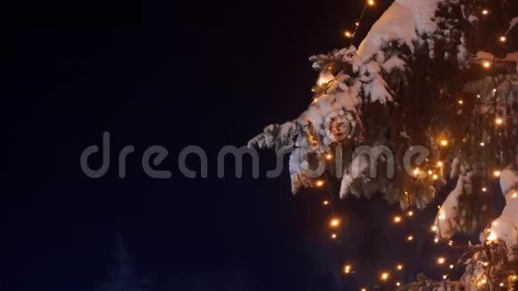 加兰灯照在圣诞树上除夕夜街道上的杉树上节日光照冬季视频的预览图