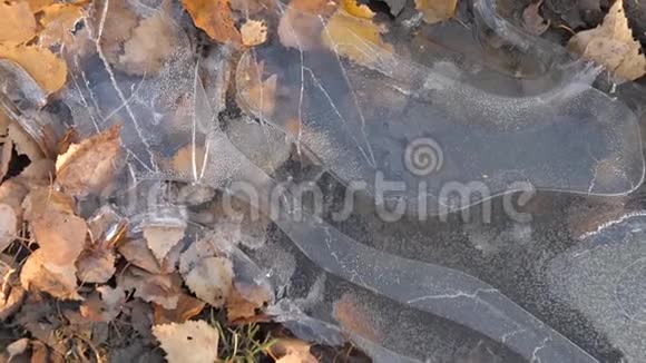 一个冰封的水坑上面覆盖着一层薄薄的冰视频的预览图