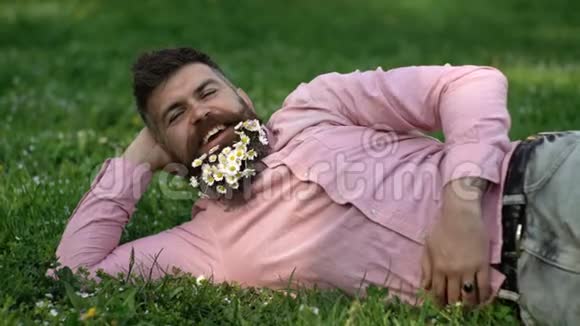 长胡子的人胡子里长着菊花躺在草地上靠在手上草地背景一个脸上留着胡子的男人视频的预览图
