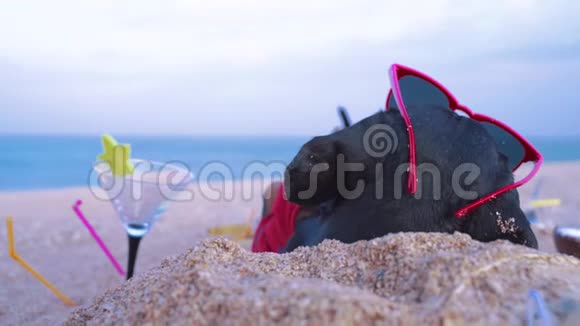 在暑假假期在海滩海边的沙滩上戴着红色的太阳帽躺在沙滩上看着黑褐色的狗视频的预览图
