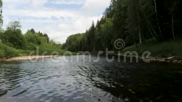 美丽的河流自然景观和被绿色夏林包围的石头库存录像冰冷的河水视频的预览图