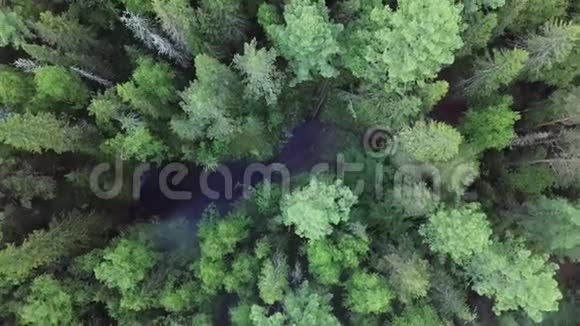 空中无人机观黑烧林区与上升白烟生态和自然灾害的概念股票视频的预览图