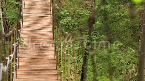 坦桑尼亚国家公园森林中的空木吊桥库存录像漂亮的木头视频的预览图