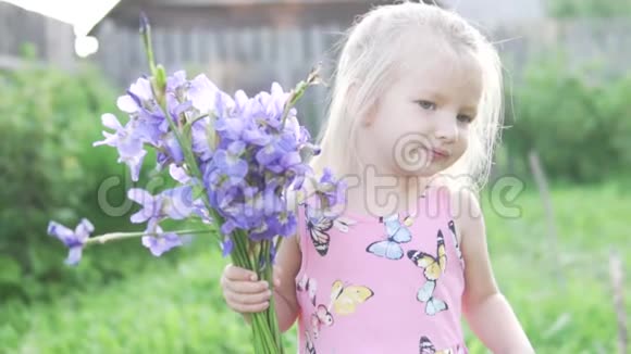 可爱的小女孩嗅着一束蓝色的虹膜视频的预览图