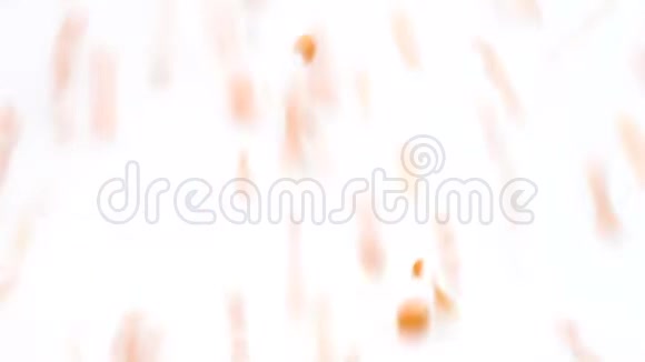 白色背景上的红色扁豆从顶部掉落并填充框架视频的预览图
