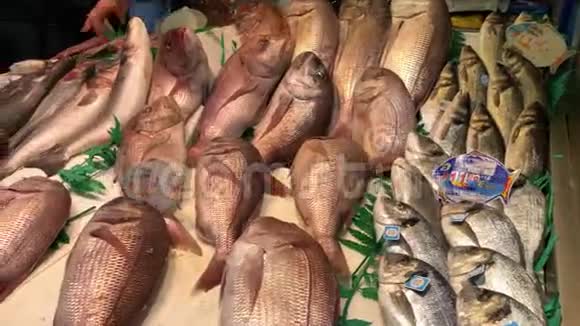 在西班牙的马拉加市场上被挖出来的鱼近距离拍摄鱼贩手视频的预览图