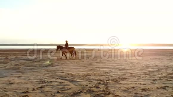 女人骑着马在美丽的秋天自然景观上的河流或湖泊视频的预览图