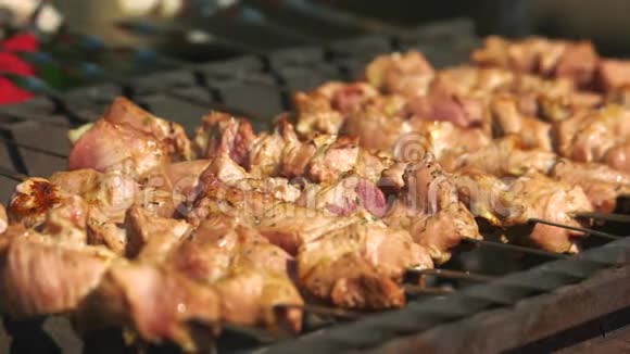 肉是用烤架上的串烧的视频的预览图