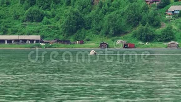 山村俄罗斯河对岸小村庄的景色视频的预览图