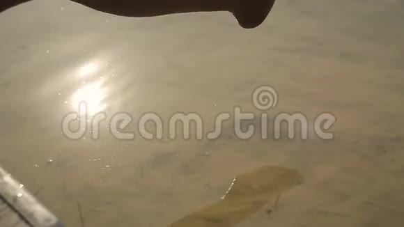 女人腿在水上摆动视频的预览图