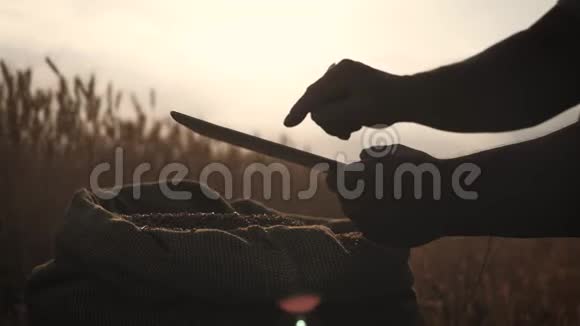 日落时分农民手里拿着数字平板电脑在田野里关门农业用平板电脑的农学家视频的预览图
