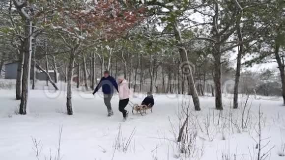 幸福的家庭在下雪的冬天滑雪父亲和母亲在下雪时和儿子拉雪橇绳索户外男孩雪橇视频的预览图