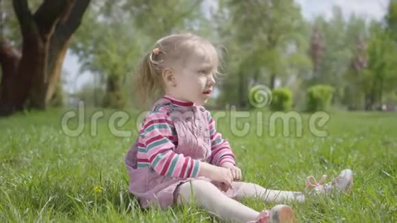 肖像可爱的小女孩坐在公园的草地上独自玩耍用一根小小的手指指向上面免费视频的预览图