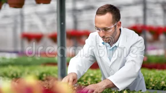 聚焦农业工程师将化肥从玻璃管倒入种植植物视频的预览图